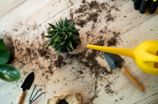 植物を別の鉢に移植し、庭の道具を木製のテーブルの上に置き、シャベル