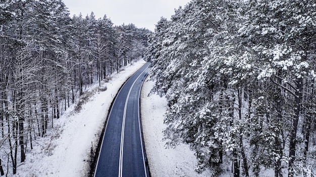 겨울의 교통 하얀 숲을 통과하는 아스팔트 도로