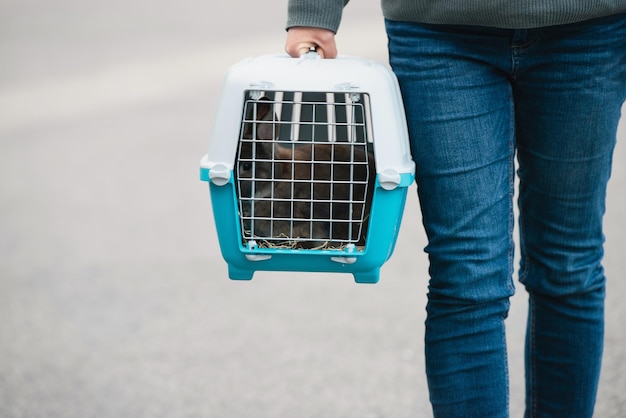 Transportdoos voor konijnen, vergrendelde kooi voor huisdieren, vakantie of afspraak bij de dierenarts