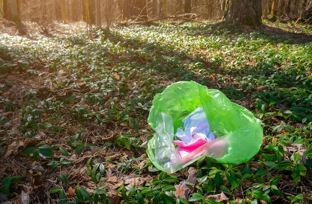 Фото Мусор вокруг деревьев в лесу. мусор, пластиковые отходы. загрязнение окружающей среды. концепция экологической проблемы. мусор и хлам на природе.