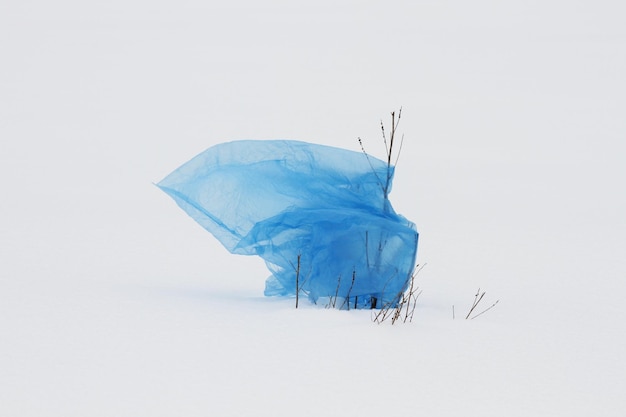 雪の中のゴミ袋が茂みに引っかかっている