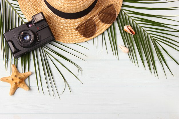 Travel accessories and tropical leaves on a colored background top view