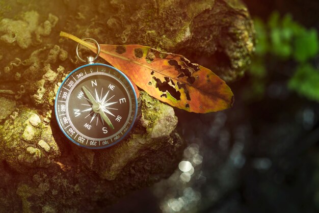 Travel background, compass on ground with leaf in nature with sunlight. Success concept.