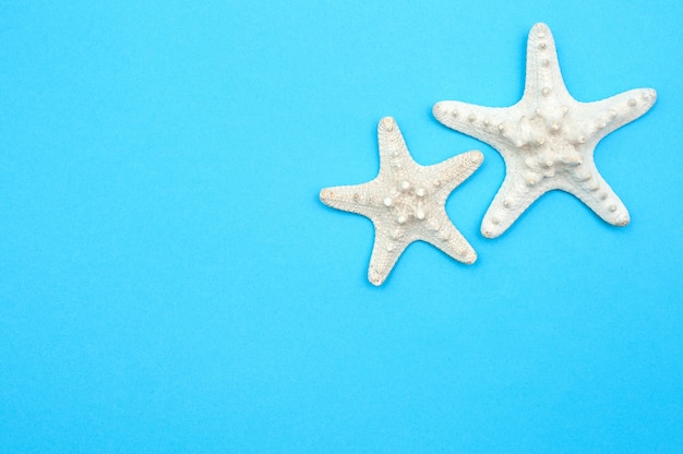 Travel background. Starfishes on a blue background