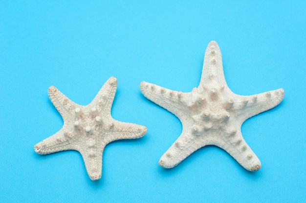 Travel background. Two starfishes on a blue background