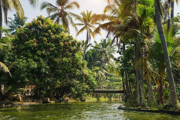 Travel to beautiful Kerala backwaters and enjoy palm tree landscape, Alappuzha, India