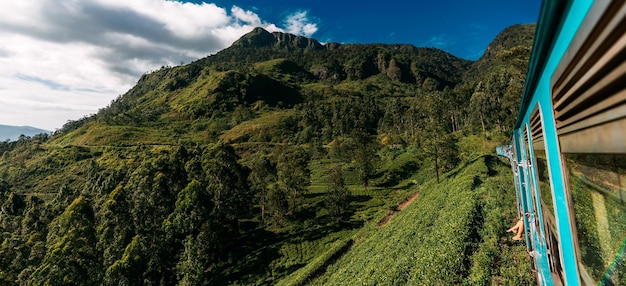 Travel by train, panorama. Road trip. Blue Sri Lankan Train goes through jungles, trees, wood, mountains. Famous blue train in Sri Lanka. Travel to Ceylon island, popular travel destination in Asia