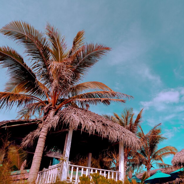 Concetto di viaggio. vietnam. posizione tropicale sulla spiaggia