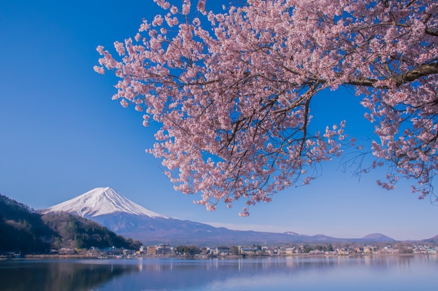 写真 桜と富士山のとても美しい景色で日本を旅しましょう