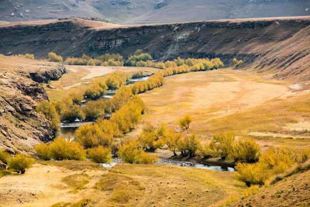 레소토 여행 초원을 가로질러 흐르는 나무가 우거진 강