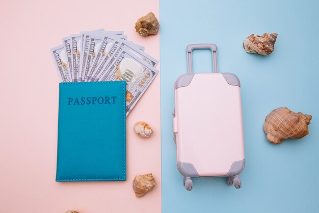 Travel luggage suitcase and passport with money