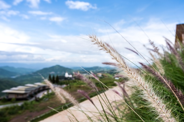 Travel place at Khao Kho, Phetchabun Thailand, looking from Pino Latte Resort & Cafe