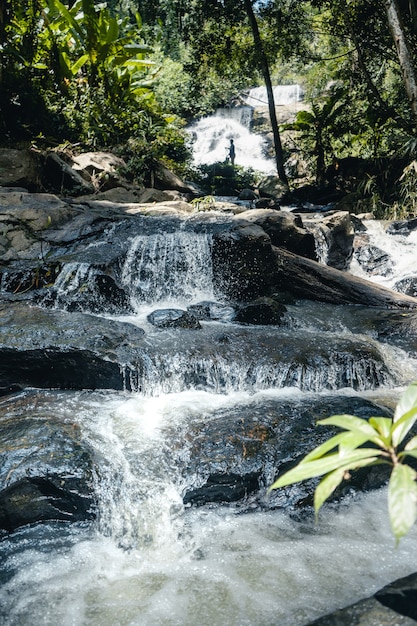 昼間の熱帯林の旅行滝