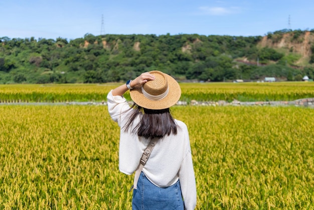 Travel woman go Taiwan Taichung Waipu paddy rice field