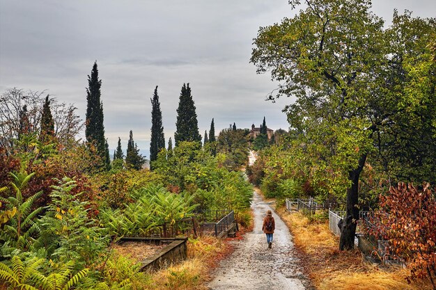 Traveler at autumn landscape