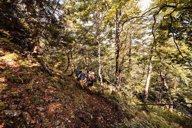 Traveler hiking group with backpacks Hiking in mountains Sunny landscape Tourist traveler Velka Fatra national park Slovakia