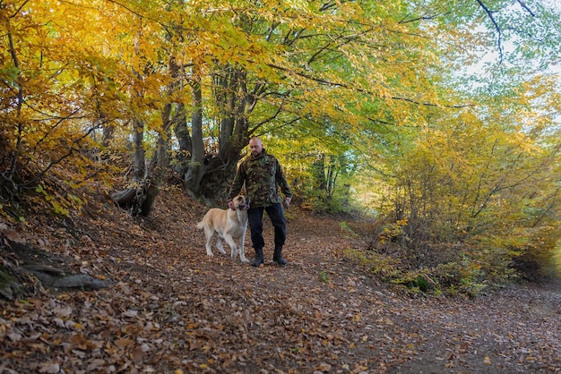 ハイキング中に秋の森で犬と一緒に歩く旅行者の男性トレイル