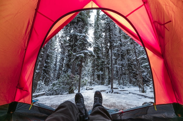 Фото Путешественник отдыхает в красной палатке со снежным сосновым лесом в кемпинге в национальном парке йохо