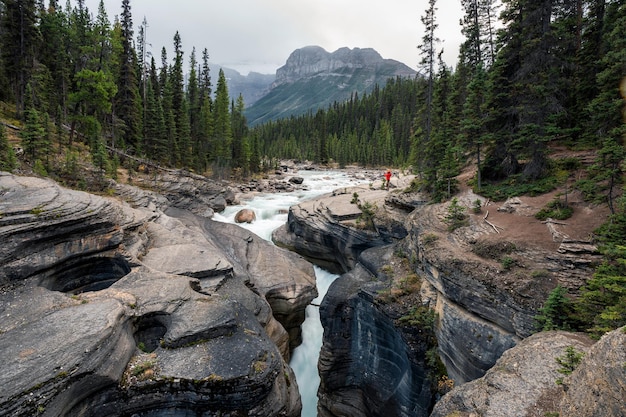 캐나다 앨버타주 아이스필드 파크웨이(Icefields Parkway)의 미스타야 캐년(Mistaya Canyon) 바위와 소나무 숲에 서 있는 여행자