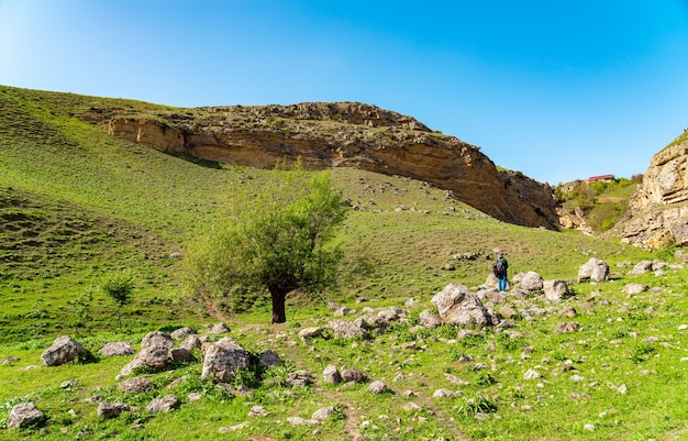 Traveler walks along the green ravine