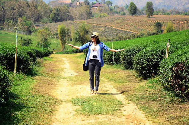 사진 여행자 태국 여성 사람들은 여행을 여행하고 방문하여 보기 풍경 농촌 시골과 태국 치앙 라이의 choui fong tea plantation에서 산에 있는 농지 정원 공원으로 사진을 찍습니다.