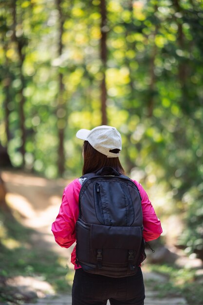 Donna del viaggiatore che fa un'escursione nella foresta