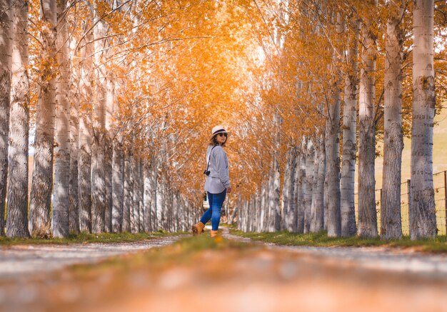 旅行者の女性は、夏に黄色の松の木の真ん中を歩く道に立っている