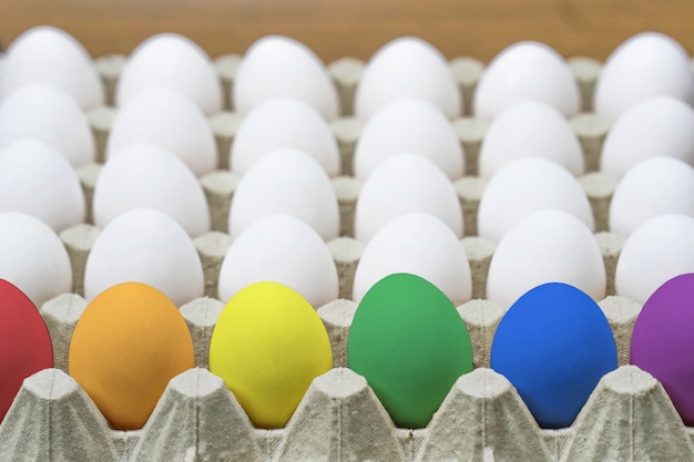 Tray of chicken eggs. Close-up. Side view