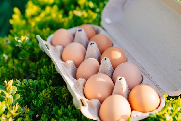 A tray of chicken eggs on the grass natural farm products