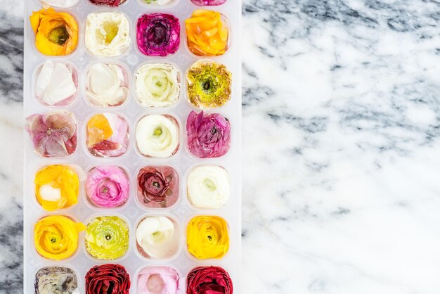 Tray with Frozen Ranunculus Flowers in Ice Cubes