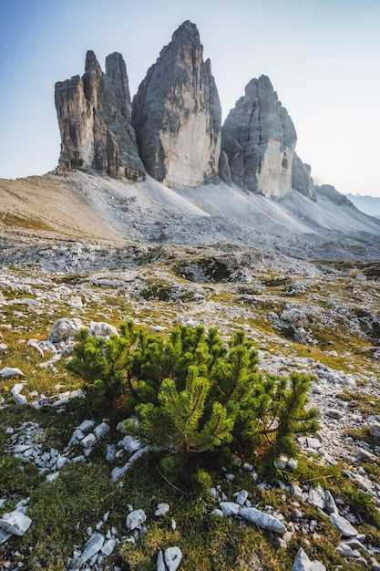 Tre Cime di Lavaredo в Секстенских Доломитовых Альпах, Италия