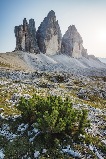 The Tre Cime di Lavaredo in the Sexten Dolomites Italy