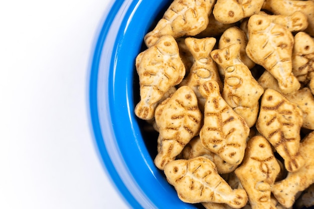 A treat for cats and kittens is a fishshaped catnip cookie in a blue bowl copy space for text