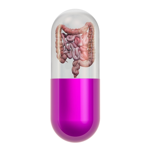 Treatments and medicines for bowel disease concept 3D rendering