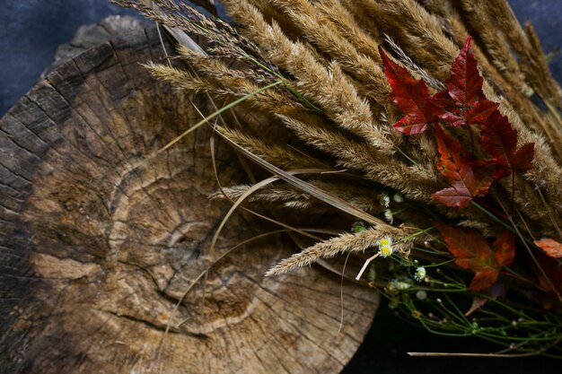 tree and autumn leaves on a dark table