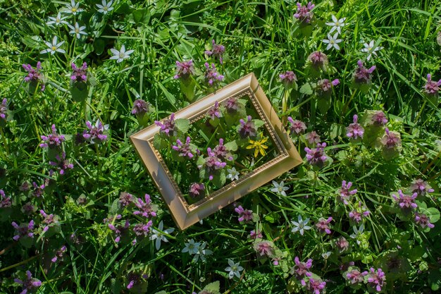 Tree bloom blossom beautiful flowers in wooden frame