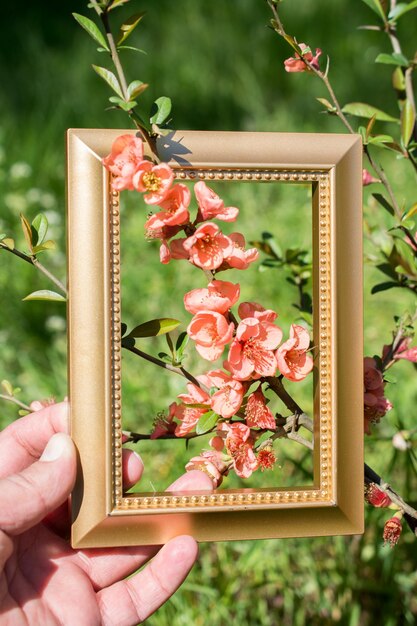 Foto fioritura dell'albero sbocciano bellissimi fiori in cornice di legno