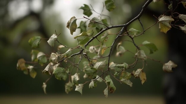 A tree branch with leaves and the word " tree " on it.