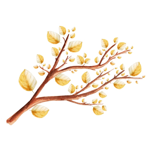 Tree branch with yellow leaves watercolor single element