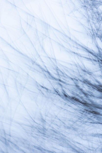 Tree branches blurry background Blurred silhouettes of sticks and black twigs of bare tree