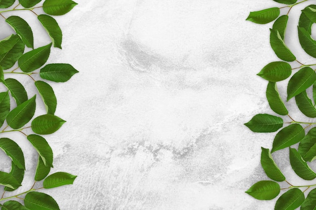 Foto rami di albero con foglie verdi su un tavolo di cemento. vecchio fondo di cemento bianco e grigio. tabellone pubblicitario, mockup di poster per il tuo design. disposizione piatta, vista dall'alto, spazio per la copia