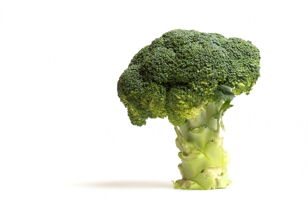 Photo tree of broccoli on white background