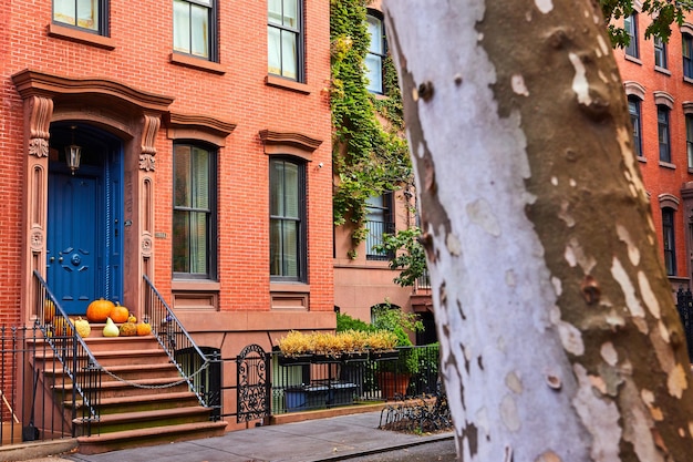 Tree by beautiful brick Greenwich Village building with pumpkins and blue door in New York City