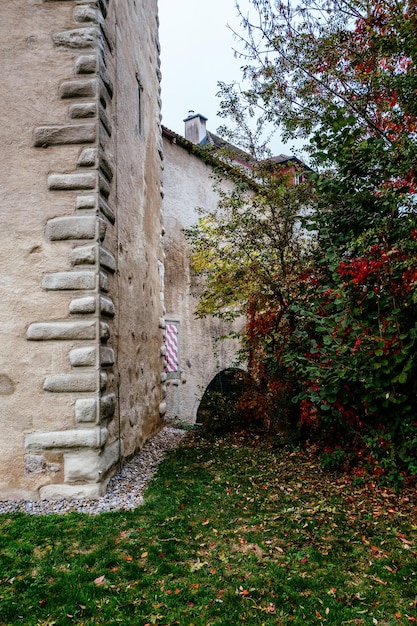 Foto albero costruito contro il cielo