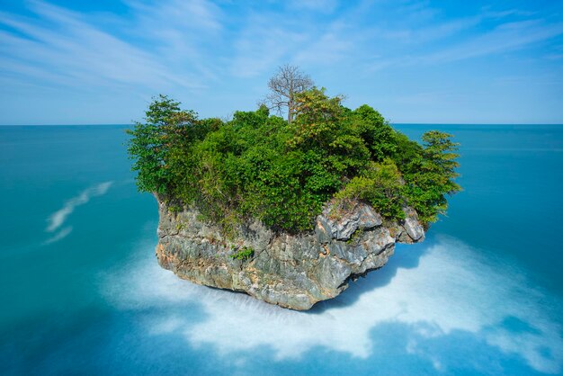 Foto albero sul mare contro il cielo blu