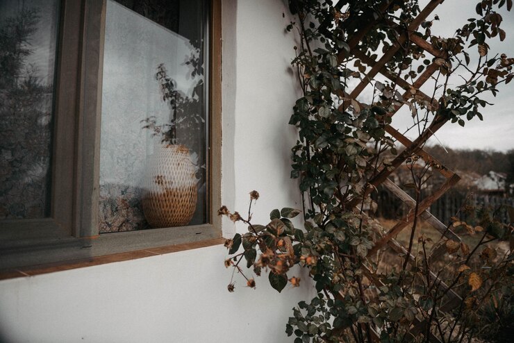 Photo tree by window