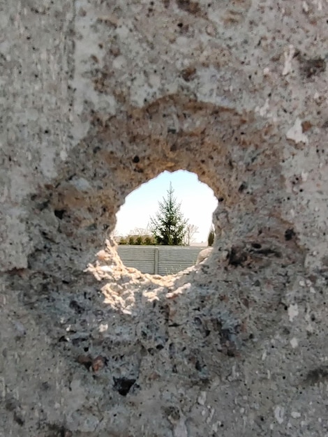 A tree can be seen through the bullet hole in the wall Focus on the background on the spruce