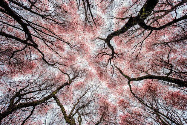 Foto le chiome degli alberi con foglie rosse vibranti contro un cielo blu ia generativa