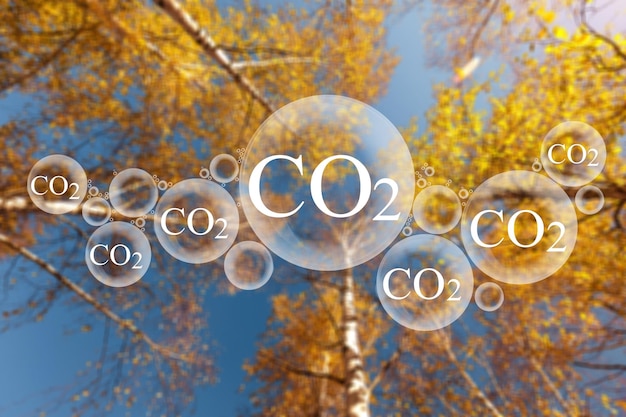 Tree canopy against a sky background with oxygen O2 and carbon dioxide CO2 molecules,