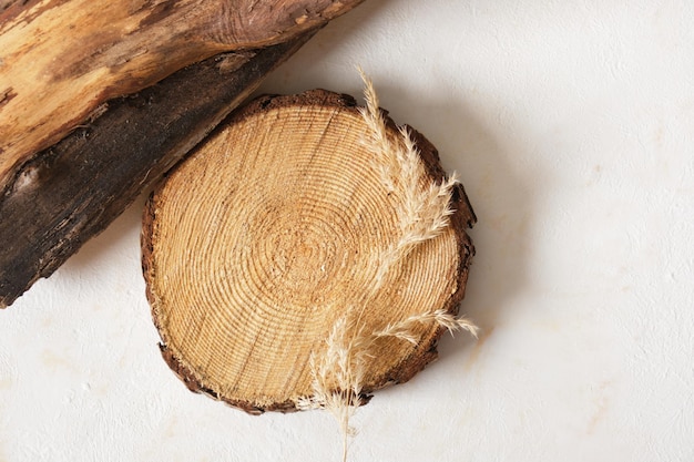 Tree circle wooden platform on beige background presentation of natural cosmetic products mock up copy space